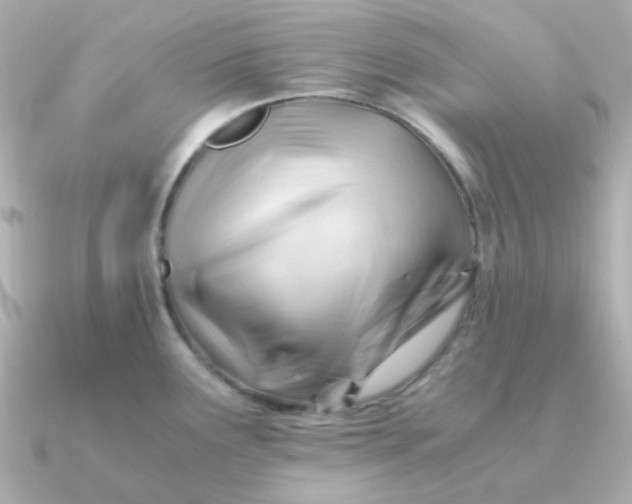 X0000090881291200708101338