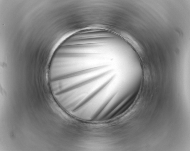 X0000090881292200708101338