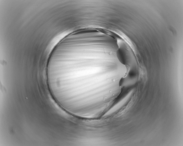 X0000090881293200708101338