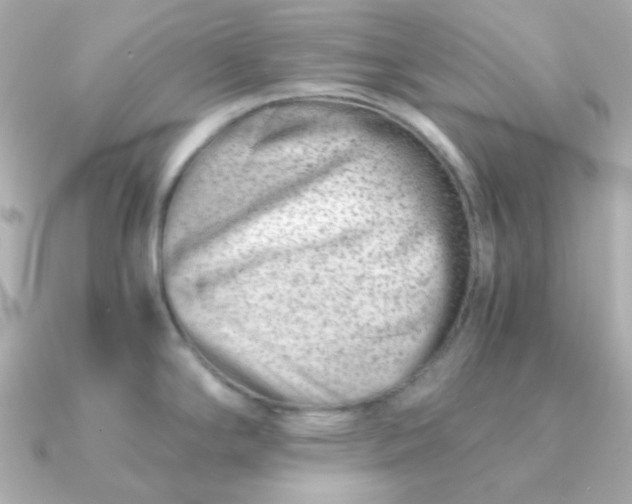 X0000090881294200708101338