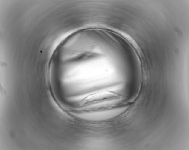 X0000090881295200708101338