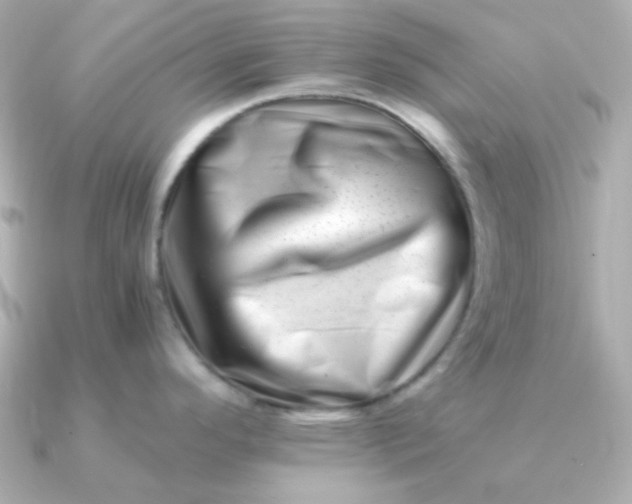 X0000090881296200708101338