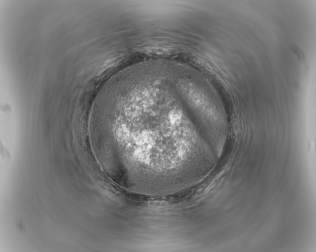 X0000090881297200708101337