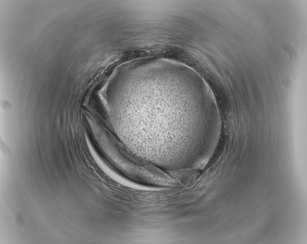 X0000090881298200708101337