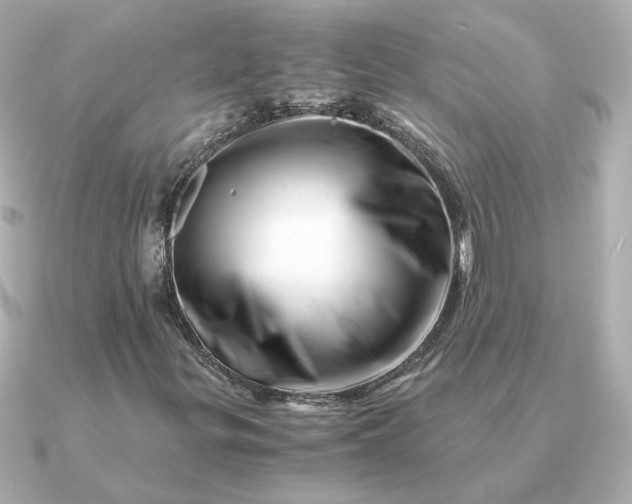 X0000090881299200708101337