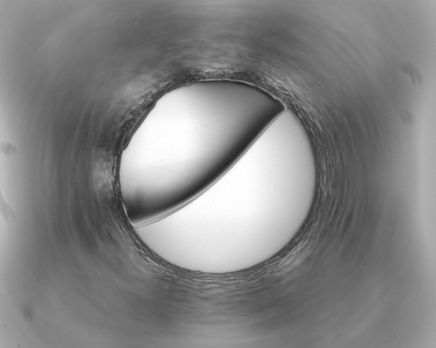 X0000090881300200708101337