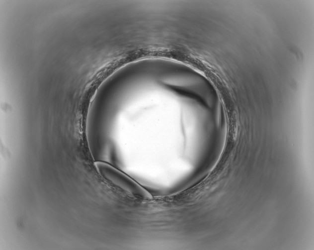 X0000090881301200708101337