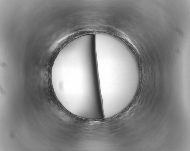 X0000090881304200708101337