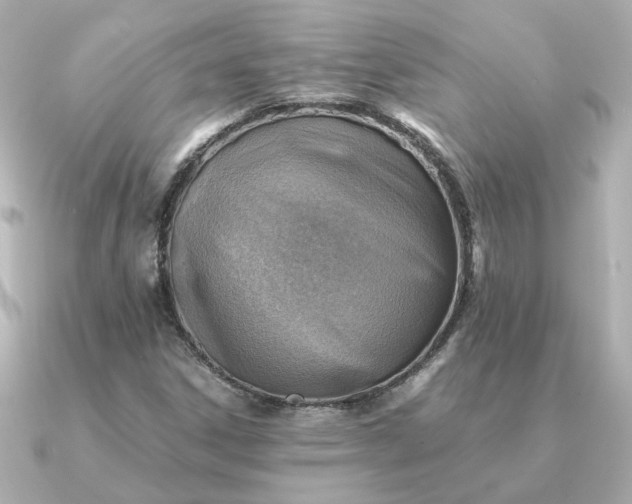 X0000090881306200708101337