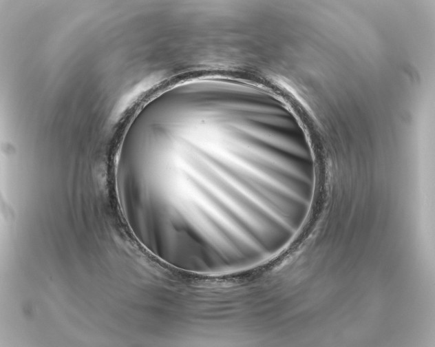 X0000090881307200708101337