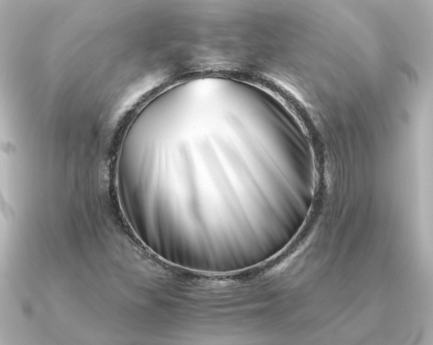 X0000090881309200708101337