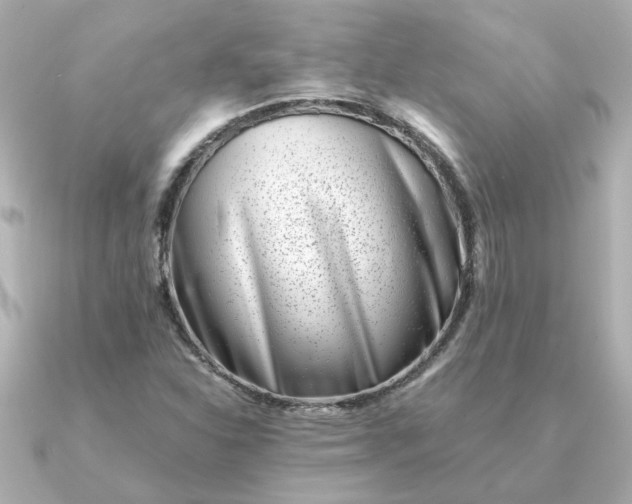 X0000090881310200708101337