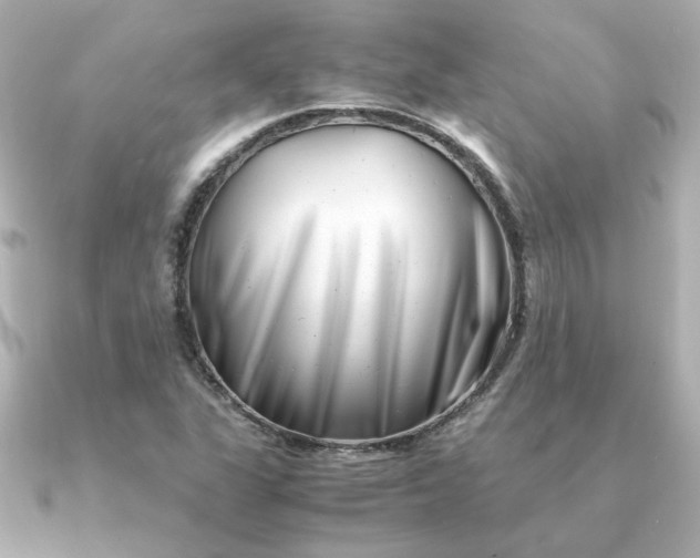 X0000090881311200708101337