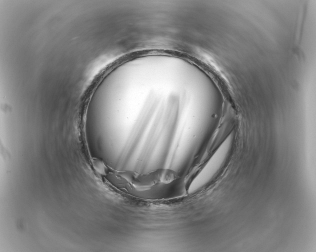 X0000090881312200708101337