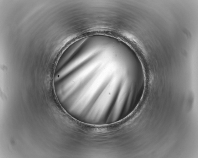 X0000090881313200708101337