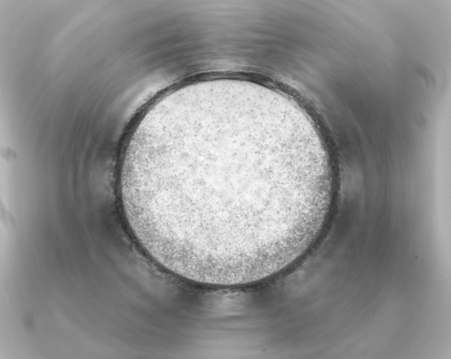 X0000090881314200708101337