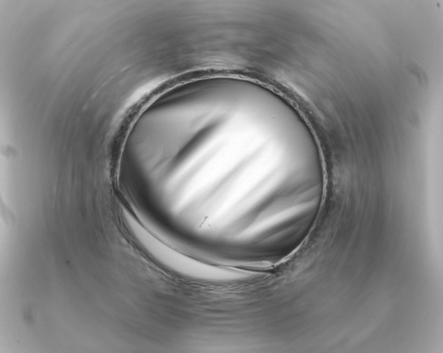 X0000090881315200708101337