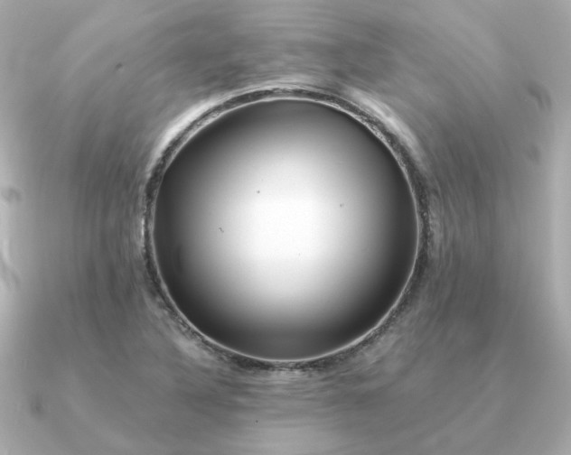 X0000090881316200708101337