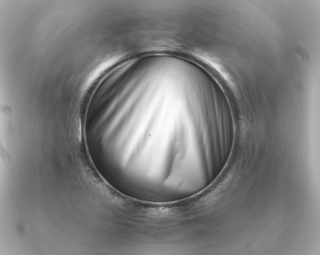 X0000090881317200708101337