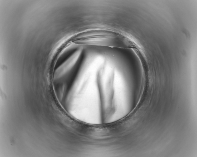 X0000090881318200708101337