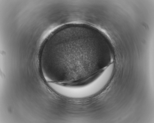 X0000090881319200708101337