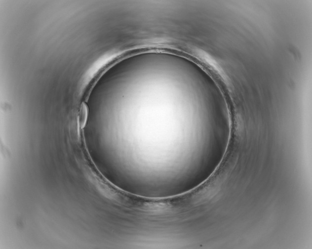 X0000090881320200708101337