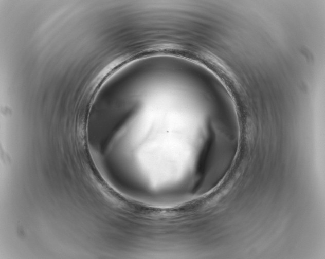 X0000090881321200708101337