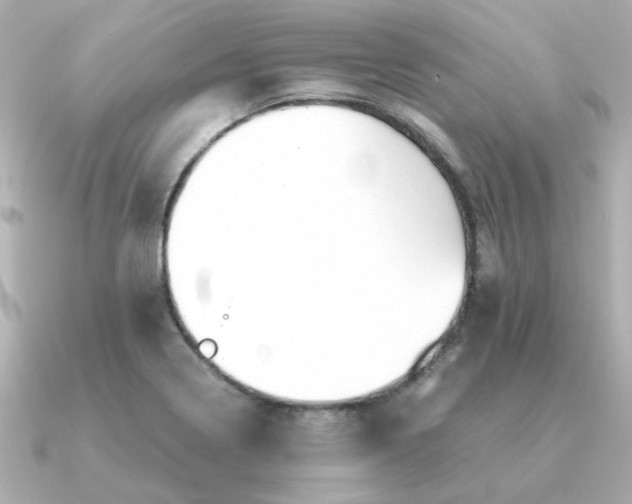 X0000090881322200708101337