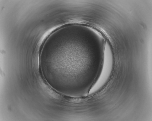 X0000090881323200708101337