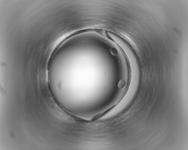 X0000090881324200708101338