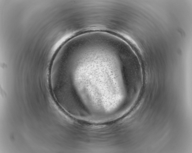 X0000090881325200708101338