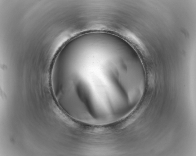 X0000090881326200708101338