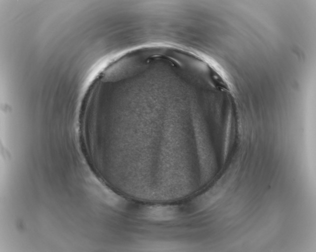 X0000090881327200708101338