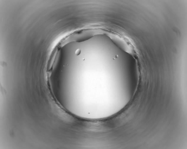 X0000090881328200708101338