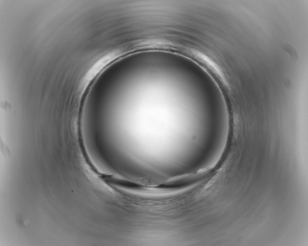 X0000090881330200708101338