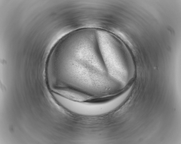 X0000090881331200708101338