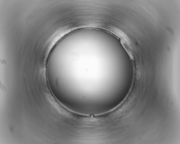 X0000090881332200708101338