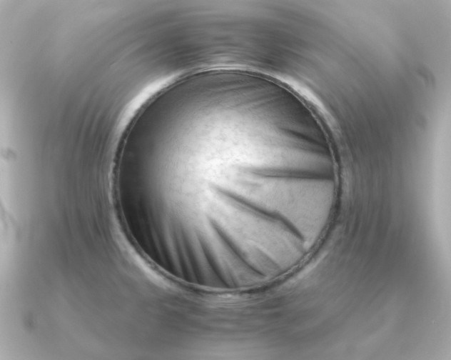 X0000090881333200708101338