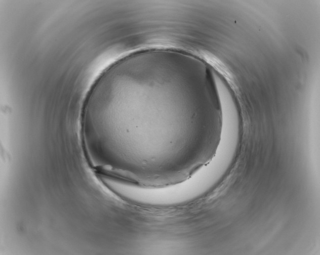 X0000090881334200708101338