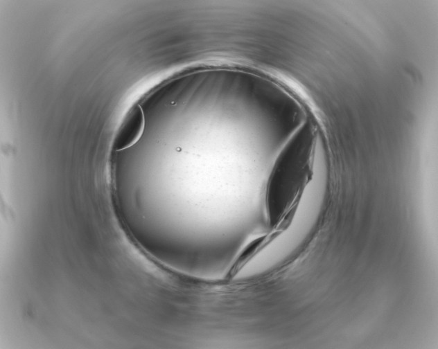 X0000090881335200708101338