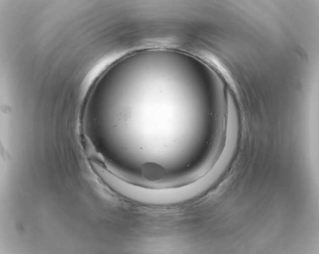 X0000090881336200708101338