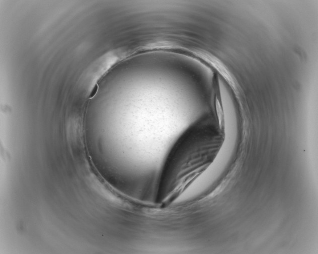 X0000090881337200708101338