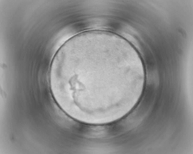 X0000090881338200708101338