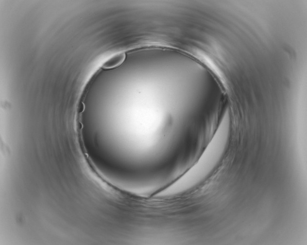 X0000090881339200708101338