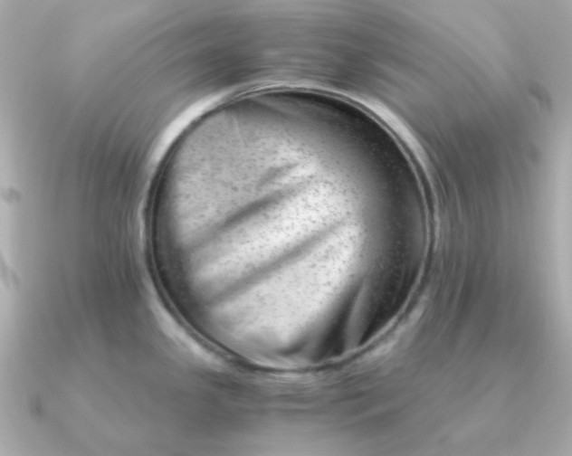 X0000090881341200708101338