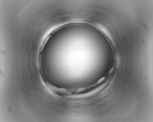 X0000090881342200708101338