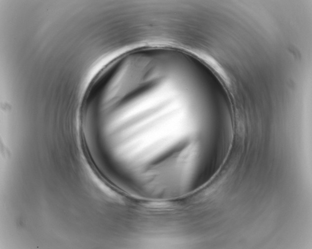 X0000090881343200708101338