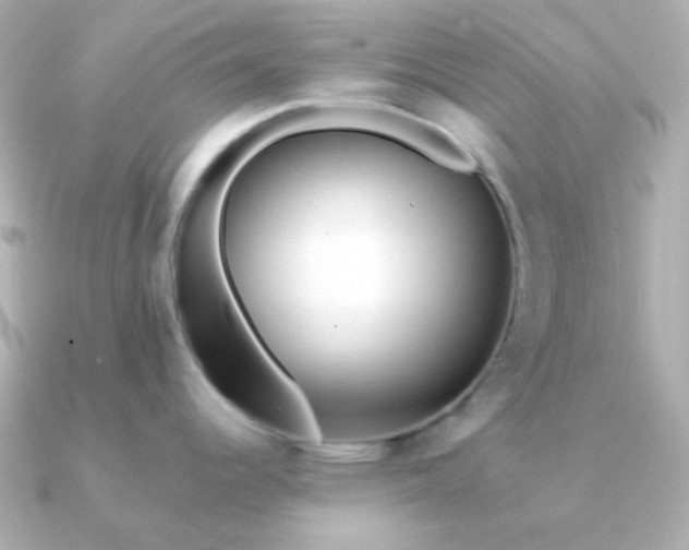 X0000090881344200708101338