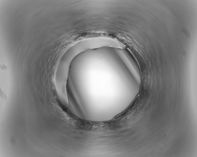 X0000090881345200708101337