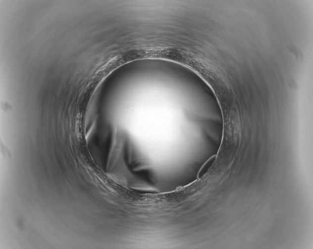 X0000090881346200708101337